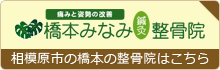 橋本みなみ鍼灸整骨院